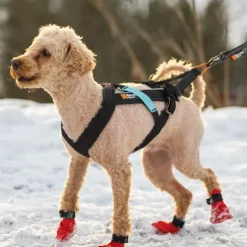 Hundeseler|Løbeturen^Non-stop dogwear Freemotion Harness | OUTLET