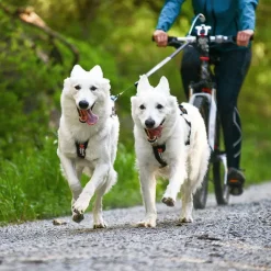 Hundeseler|Løbeturen^Non-stop dogwear Freemotion Harness | OUTLET