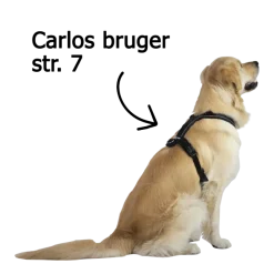 Hundeseler|Løbeturen^Non-stop dogwear Line Harness 5.0 | OUTLET
