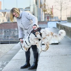 Hundeseler|Løbeturen^Non-stop dogwear Rock Harness Long | OUTLET