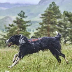 Hundeseler|Løbeturen^Non-stop dogwear Rock Harness Long | OUTLET