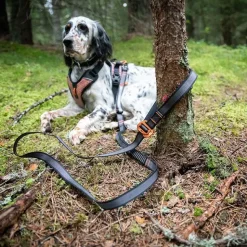 Løbeturen|Hundesnor^Non-stop dogwear Touring Bungee Adjustable | OUTLET