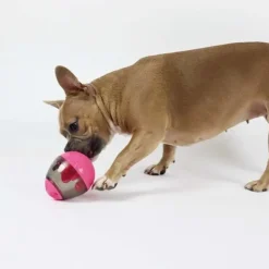 Aktivitetslegetøj Til Hunde|Ollipet Hundelegetøj^Nordic Paws Aktivitetsæg