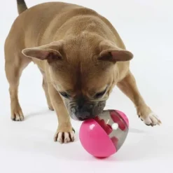 Aktivitetslegetøj Til Hunde|Ollipet Hundelegetøj^Nordic Paws Aktivitetsæg