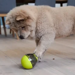Aktivitetslegetøj Til Hunde|Ollipet Hundelegetøj^Nordic Paws Aktivitetsæg