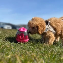 Aktivitetslegetøj Til Hunde|Ollipet Hundelegetøj^Nordic Paws Aktivitetsæg