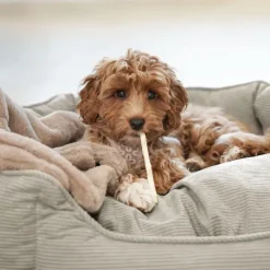 Hundesenge^Nordic Paws Fiona | Oval Hundeseng
