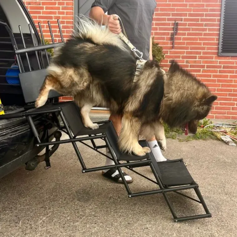 Hundetrapper & Hunderamper|Biltransport Af Hund^Nordic Paws Foldbar Hundetrappe