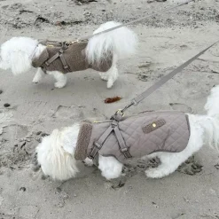 ❄️Klar Til Vintervejret|Efterårsklar^Ollipet Aarhus Hundejakke