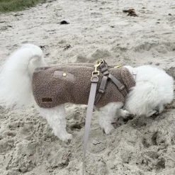 ❄️Klar Til Vintervejret|Efterårsklar^Ollipet Aarhus Hundejakke