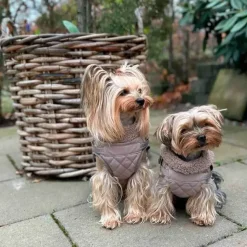 ❄️Klar Til Vintervejret|Efterårsklar^Ollipet Aarhus Hundejakke