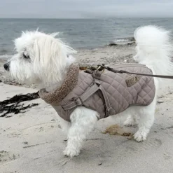 ❄️Klar Til Vintervejret|Efterårsklar^Ollipet Aarhus Hundejakke