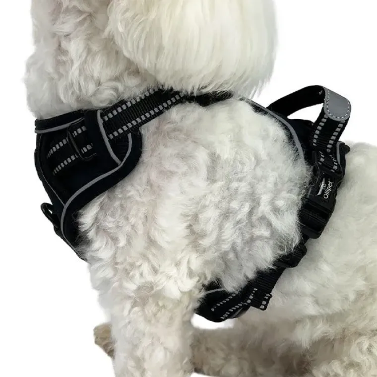 Hundeseler^Ollipet Adventure Hundesele str. XL, OUTLET Sort