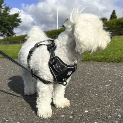 Hundeseler^Ollipet Adventure Hundesele str. XL, OUTLET Sort