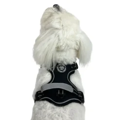 Hundeseler^Ollipet Adventure Hundesele str. XL, OUTLET Sort