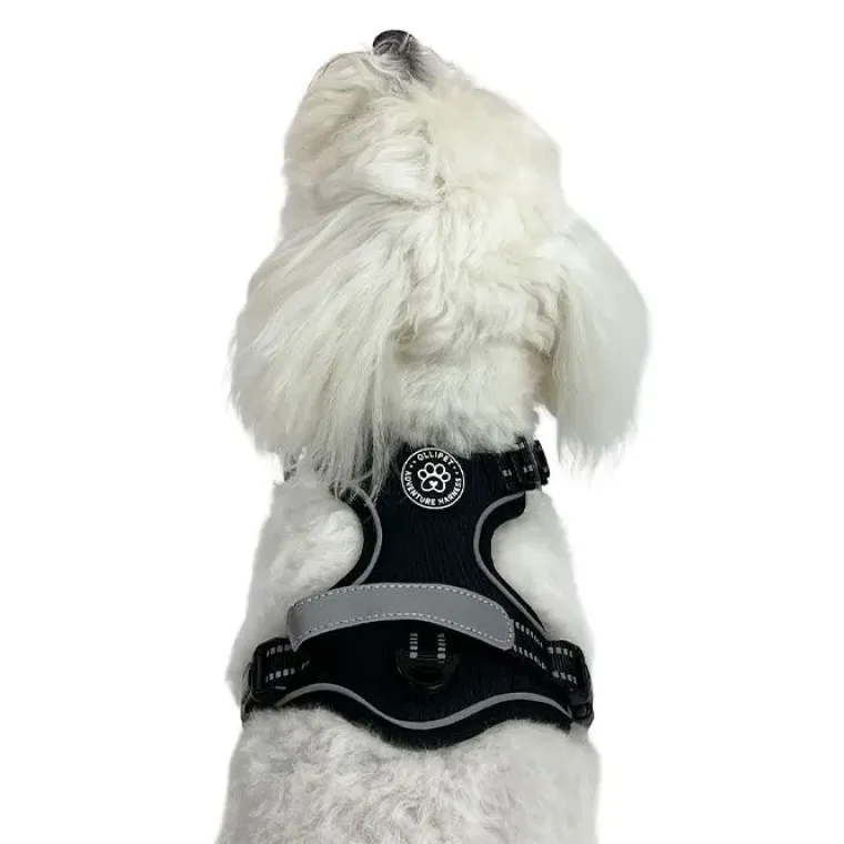 Hundeseler^Ollipet Adventure Hundesele str. XL, OUTLET Sort