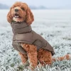 Julekurven|Efterårsklar^Ollipet Alpine Explorer Hundejakke