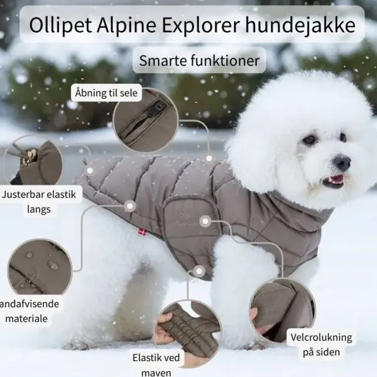 Julekurven|Efterårsklar^Ollipet Alpine Explorer Hundejakke