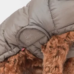 Julekurven|Efterårsklar^Ollipet Alpine Explorer Hundejakke