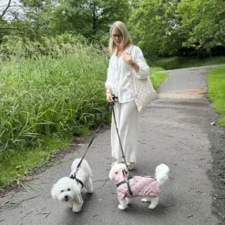Gaveidéer Til Hundeelskeren|Hundeferien^Ollipet Aqua Explorer De Luxe | Shopping Net