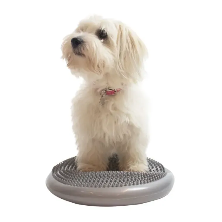 Ollipet Hundelegetøj|Hundetræning Og Klikker^Ollipet Balancepude