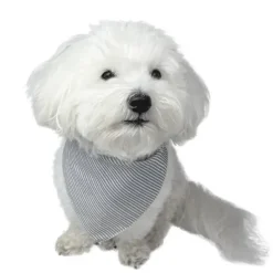 Hundetøj^Ollipet Bandana til hunde | OUTLET