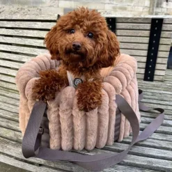 Hundetaske|Transporttasker Til Hunde^Ollipet Bella Bloom 3i1 bæretaske