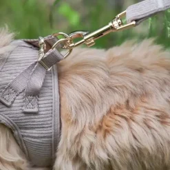 Ollipet City Lux|Hundesnor^Ollipet Bijou Hundesnor | Fløjl
