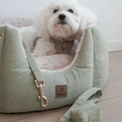 Hundeseler|Hvalpesele Og Hvalpeliner^Ollipet Bijou Step-in hundesele | Fløjl Olive Green