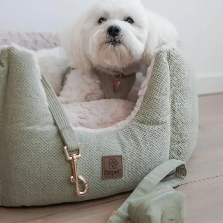 Hundeseler|Hvalpesele Og Hvalpeliner^Ollipet Bijou Step-in hundesele | Fløjl Olive Green