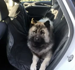 Biltransport Af Hund^Ollipet Bilsædebeskytter