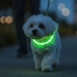Bestsellers|Løbeturen^Ollipet Blinkende LED Halsbånd