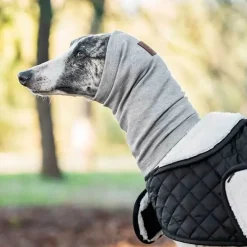 Helse Til Hunde|Nytårskurven^Ollipet Calm Hoodie