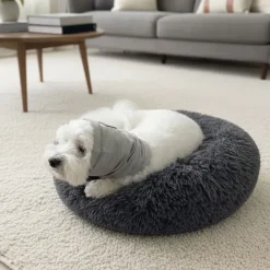 Helse Til Hunde|Nytårskurven^Ollipet Calm Hoodie
