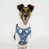 Hundeseler|Ollipet City Lux^Ollipet City Lux Hundesele | Blue Marguerites | OUTLET