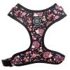 Hundeseler|Ollipet City Lux^Ollipet City Lux Hundesele | Cute Hedgehog | OUTLET