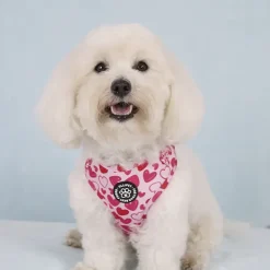 Hundeseler|Ollipet City Lux^Ollipet City Lux Hundesele | Hearts Of Love | OUTLET