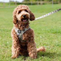 Ollipet City Lux|Hundesnor^Ollipet City Lux Hundesnor | Camouflage