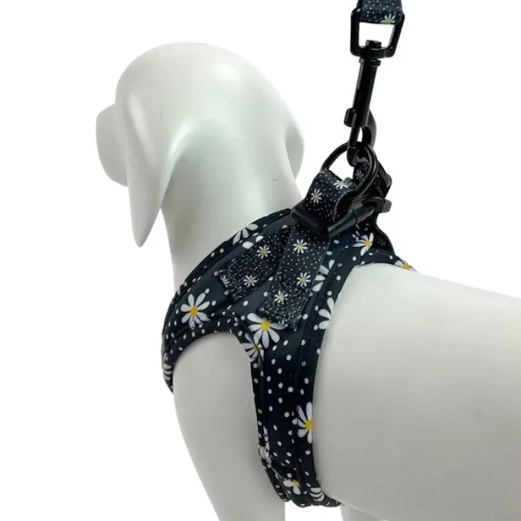 Hundeseler|Ollipet City Lux^Ollipet City Lux Step-in sele | Margueritter