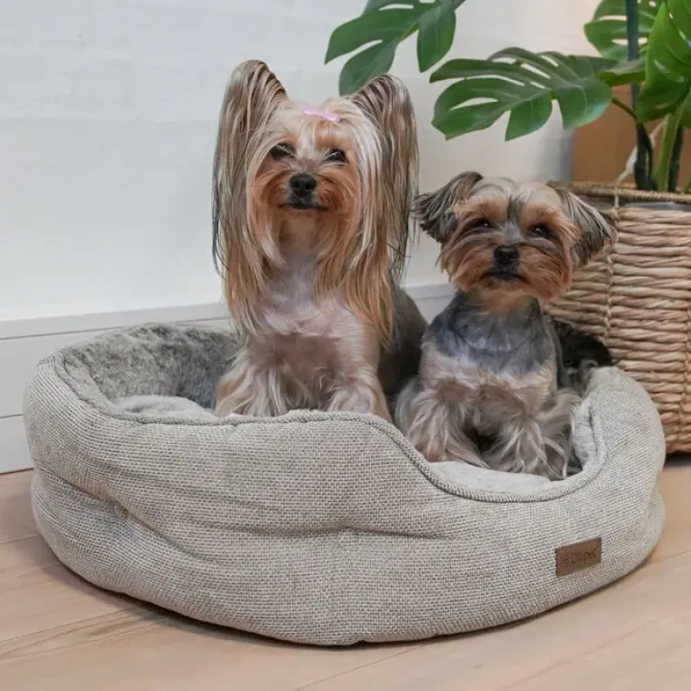 Hundesenge^Ollipet Cocoon hundeseng