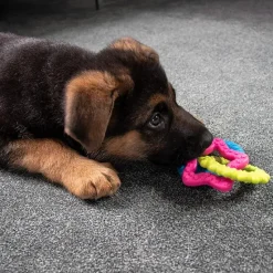 Ollipet Hundelegetøj|Hvalpelegetøj^Ollipet ColourPups - Bideringe til hvalpe