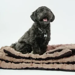 Hundesenge|Hundebur Og Tilbehør^Ollipet Cozy dream madras