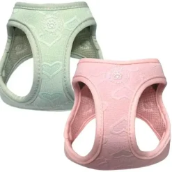 Hundeseler|Valentine^Ollipet Cute Hearts Step-in hvalpesele | Mini