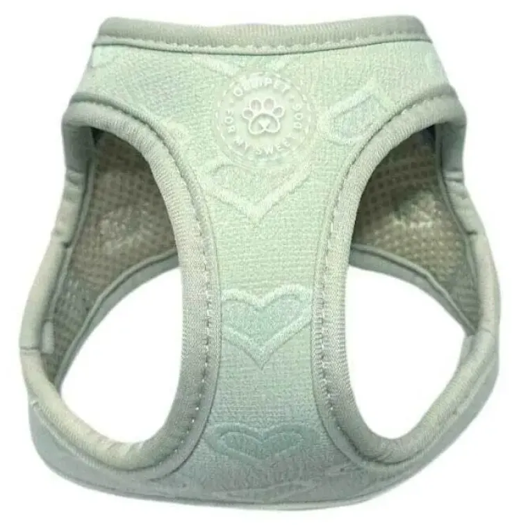 Hundeseler|Valentine^Ollipet Cute Hearts Step-in hvalpesele | Mini