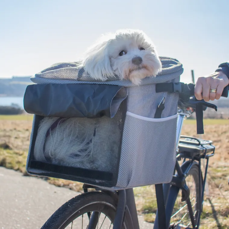 Cykelkurv Til Hund^Ollipet Cykelkurv | 3i1