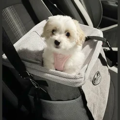 Cykelkurv Til Hund^Ollipet Cykelkurv | 3i1