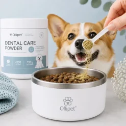 Mund-, Øre- Og Øjenpleje^Ollipet Dental Care Powder | 150g