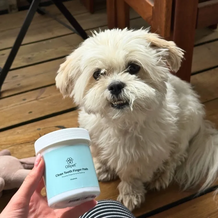 Bestsellers|Mund-, Øre- Og Øjenpleje^Ollipet dental finger wipes | 50 stk