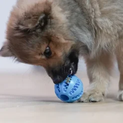Aktivitetslegetøj Til Hunde|Hvalpelegetøj^Ollipet Dentaplay hundebold | 5 cm