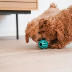 Aktivitetslegetøj Til Hunde|Ollipet Hundelegetøj^Ollipet Dentaplay turbo hundelegetøj
